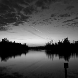 Biesbosch, ochtend  van mono chromie