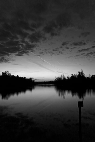 Biesbosch, ochtend  van mono chromie