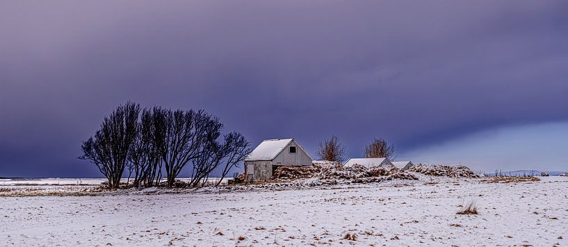 Islande par Maarten van der Voorde