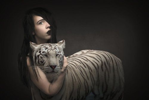 Speelse Beeldmanipulatie: Witte tijger vs. Crazy Cat Lady - Aandoenlijkheid voor Uw Interieur