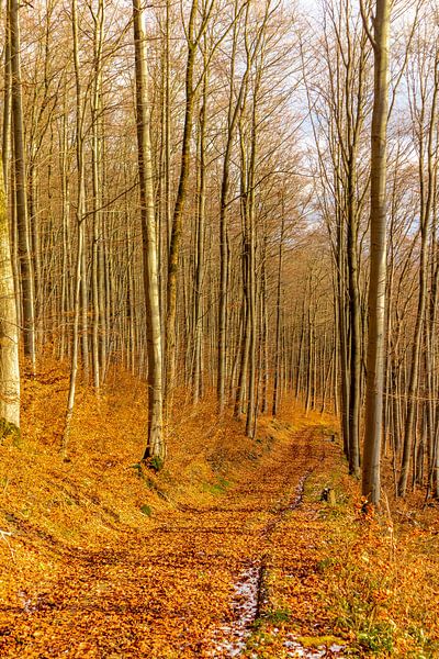 Winter hike through the beautiful Vorderrhön by Oliver Hlavaty