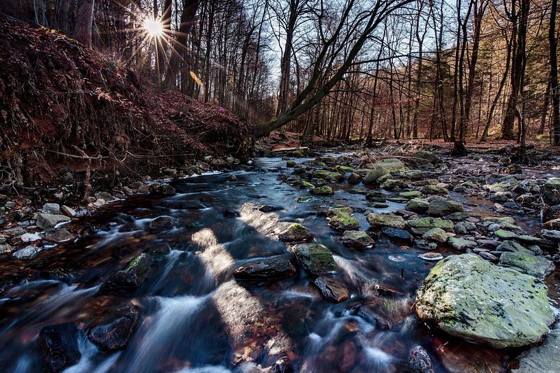 Mountain river La Hoëgne in the Ardennes by Rob Boon