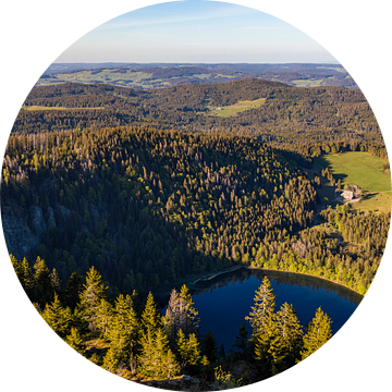 Uitzicht vanaf de Feldberg over de Feldsee in het Zwarte Woud van Werner Dieterich