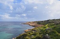 De kust van Gozo