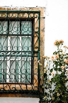 romantische raam met bloemen van Sabrina Varao Carreiro