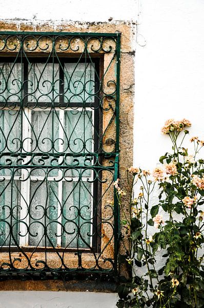 romantische raam met bloemen von Sabrina Varao Carreiro