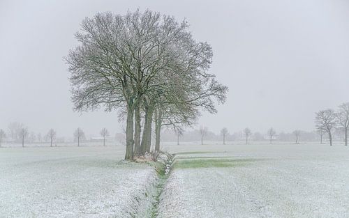 kleiner Schneeteppich