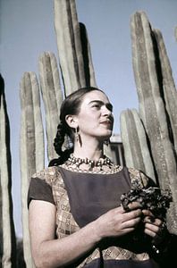 Frida in Farbe vor Kakteen in Mexiko abgebildet