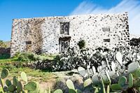 Maison Cactus