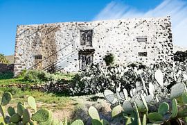 Maison Cactus sur Haaije Bruinsma Fotografie