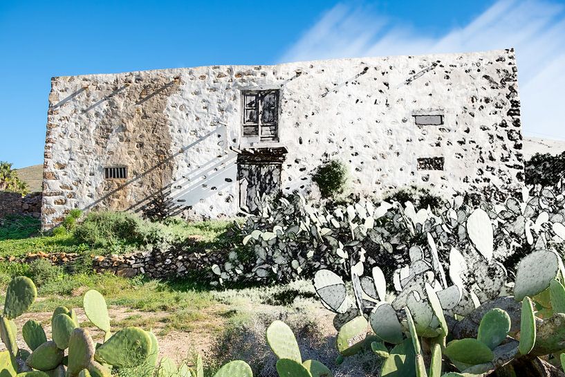 Cactus House by Haaije Bruinsma Fotografie