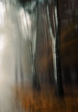 Planken Wambuis part 165 by Tania Perneel