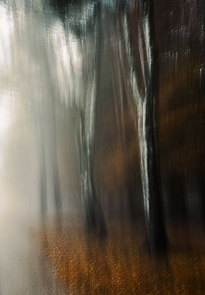 Planken Wambuis part 165 by Tania Perneel