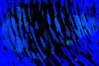 Das Lied der Wale im Blauen Ozean bei Nacht von Mad Dog Art Miniaturansicht