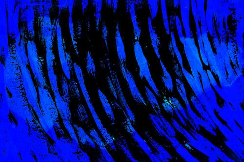 Het lied van de walvissen in de blauwe oceaan bij nacht