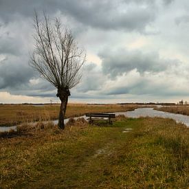 Weerribben Sint Jansklooster beim Besucherzentrum von Hans Janssen