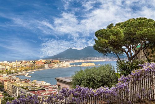 NEAPEL Uitzicht vanaf de bloemenzee op de Vesuvius