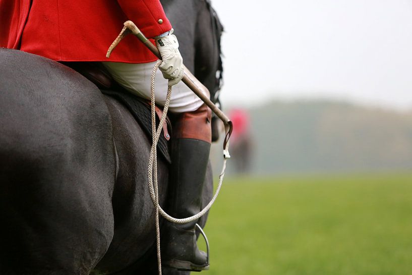 Whipp von Wybrich Warns