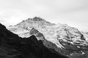 De Jungfrau van Reinier Holster