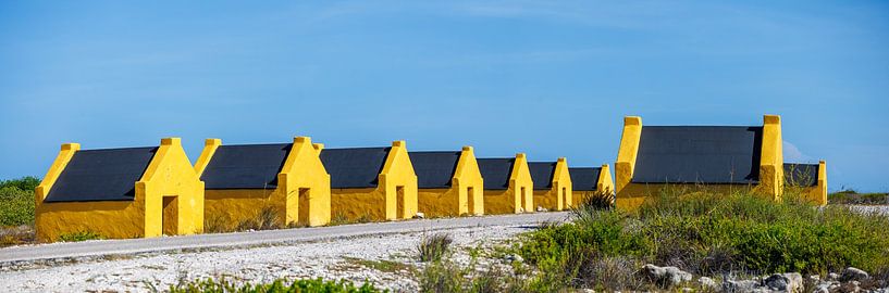Bonaire, le joyau tropical des Caraïbes par Patrick Fotografeert
