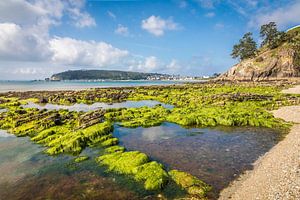 Plage du Porzic bei Ebbe, Morgat, Bretagne