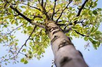 La nature autour d'Eindhoven 2025