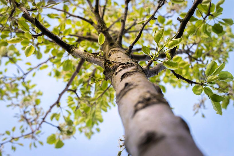 La nature autour d'Eindhoven 2025 par www.Focus040.nl