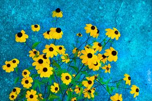 Rudbeckia mit blauem Hintergrund