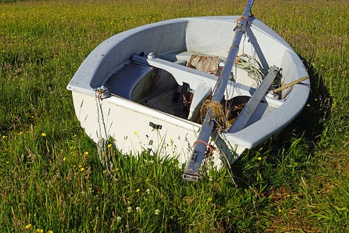 Roeiboot op een weiland