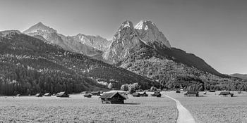 Meadow landscape near Garmisch Partenkirchen and Grainau in black and white
