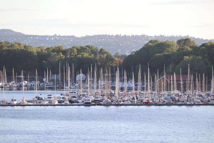 Port Oslo par Marilla van der Knoop