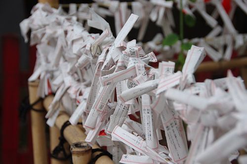 Bonheur jeté dans un sanctuaire shintoïste japonais