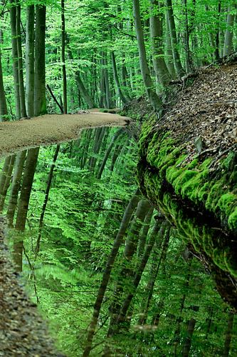 Helbeek, Sint Jansberg, 2023