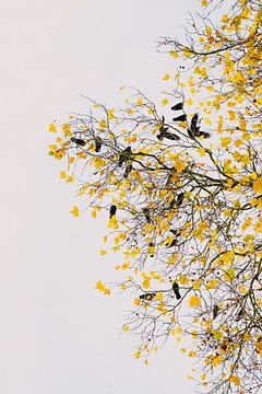 Gathering in Yellow van Gertinez Gallery