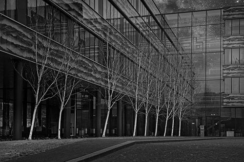 Statistisches Zentralamt in Heerlen (CBS)