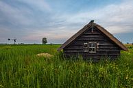 Nationaal park de Wieden van Eelke Brandsma thumbnail