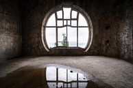 Abandoned Art Nouveau window. by Roman Robroek - Photos of Abandoned Buildings thumbnail