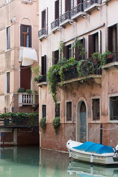 Venice by heidi borgart