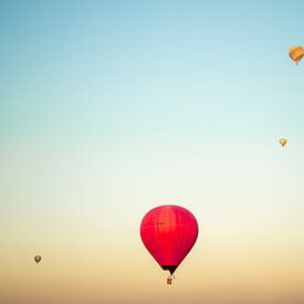 Ballon van Alexandre Peres