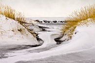 IJsland, sneeuwduinen met lavastrand von Paul Roholl Miniaturansicht