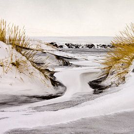IJsland, sneeuwduinen met lavastrand by Paul Roholl