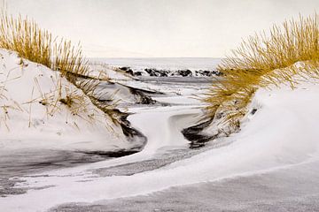 IJsland, sneeuwduinen met lavastrand