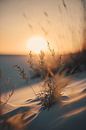 Beautiful Sunset by Treechild thumbnail