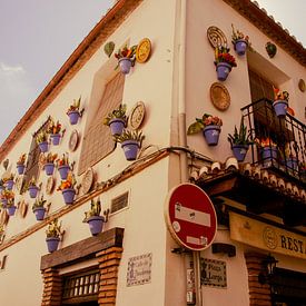 Typische blauwe bloempotten aan de muur in Granada van Travel.san