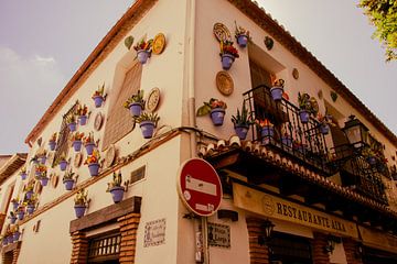 Typical blue flower pots on the wall in Granada by Travel.san