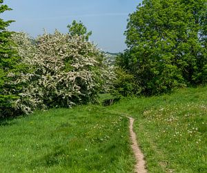 Versteckter Gehweg in Süd-Limburg