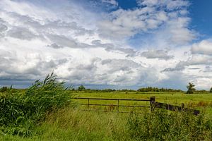 Summer clouds in a nature reserve sur Sjoerd van der Wal Photographie