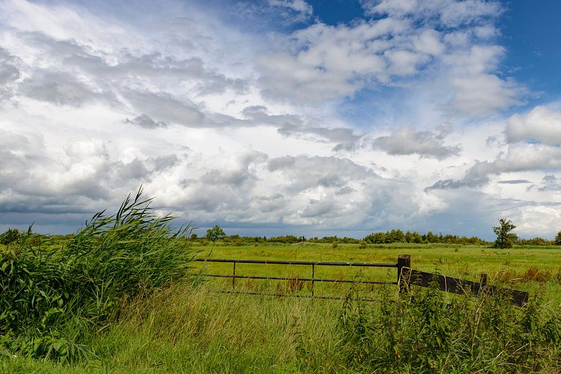 Summer clouds in a nature reserve by Sjoerd van der Wal Photography