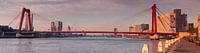 Panorama Willemsbrug Rotterdam by Ilya Korzelius thumbnail