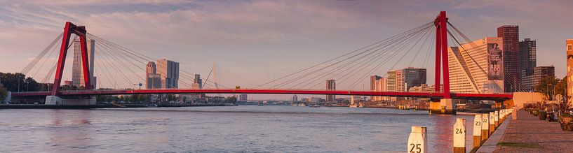 Panorama Willemsbrug Rotterdam van Ilya Korzelius